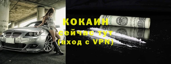 стаф Елизово