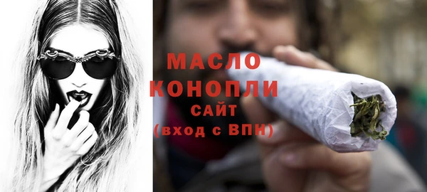 мет Дмитриев