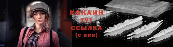 мет Дмитриев