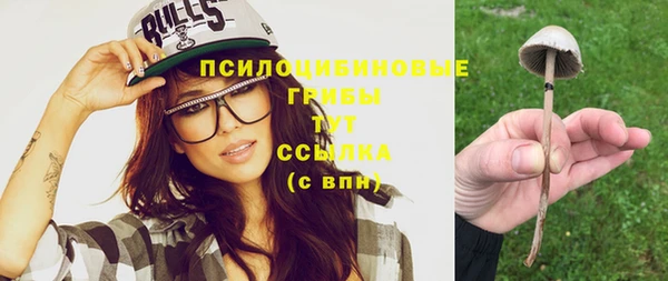 стаф Елизово